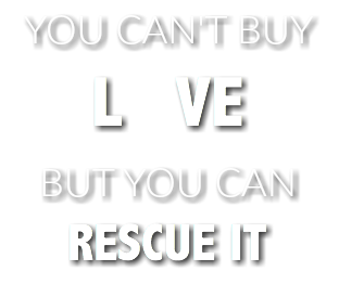 YOU CAN'T BUY L VE BUT YOU CAN RESCUE IT